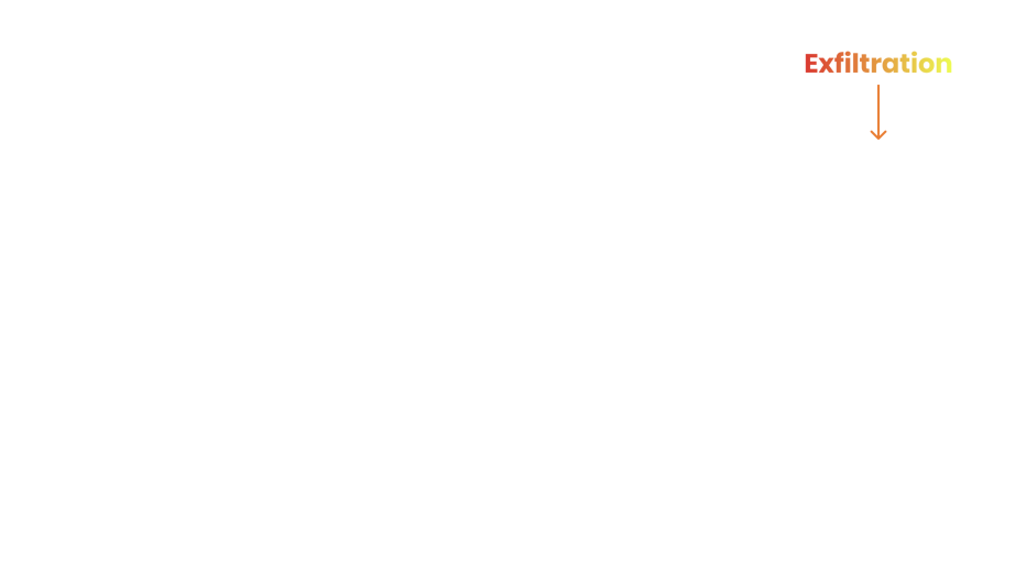 Exfiltration marker