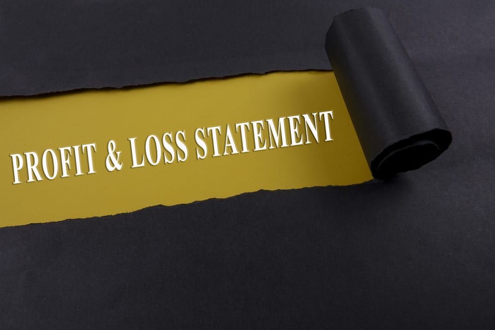 Profit and Loss Statement